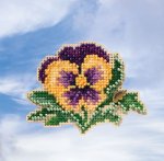 (image for) Tricolor Pansy (2019)